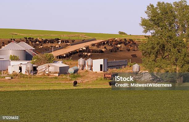 Foto de Fazenda De Gado e mais fotos de stock de Agricultura - Agricultura, Nebrasca, Exterior de Prédio