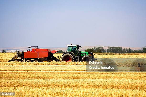 Foto de Trabalho No Campo e mais fotos de stock de Agricultura - Agricultura, Campo, Cereal