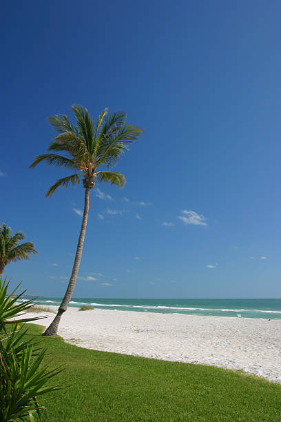 Idillyc tropical beach with white sand an turquoise water in Key West, Florida, USA. Famous travel destination. Copy space.