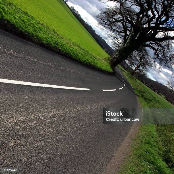 Strada Di Campagna 6 - Fotografie stock e altre immagini di Albero - Albero, Ambientazione esterna, Asfalto