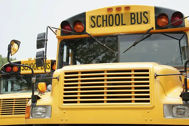 Yellow school buses.