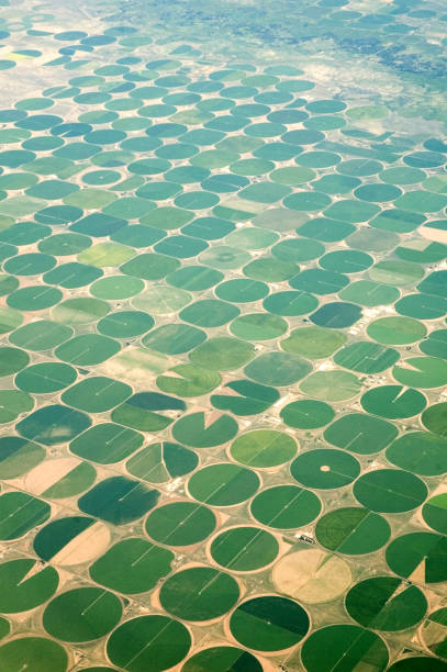 circular d'irrigation de vue aérienne - aerial view mid air farm field photos et images de collection