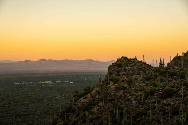 istock Cliff Side Covered In Saguaro Cactus Look Out Over Old Tucson Studios 1712291068