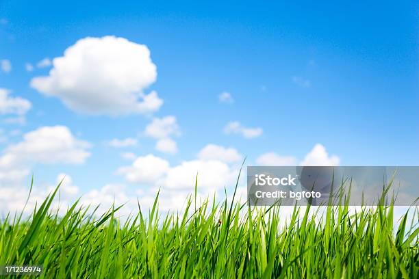 Gras Und Himmelxxxl Stockfoto und mehr Bilder von Gras - Gras, Ostern, Wiese