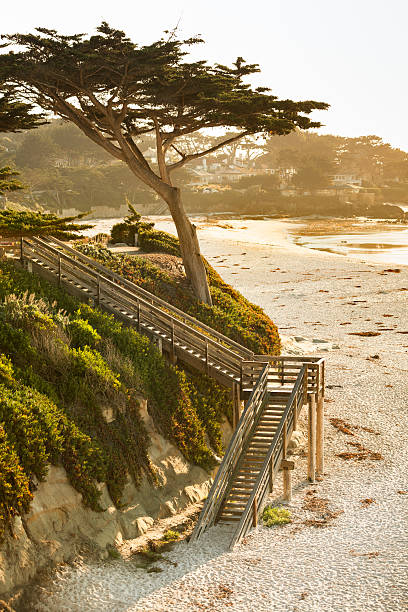 istock Carmel Beach in Carmel-by-the-Sea 171237044