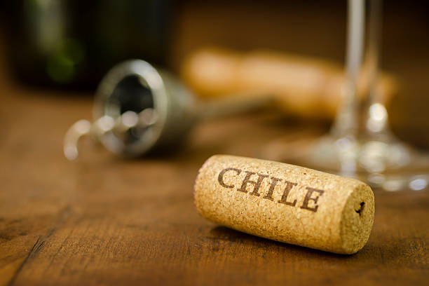 chile corcho de vino horizontal - vinos chilenos fotografías e imágenes de stock