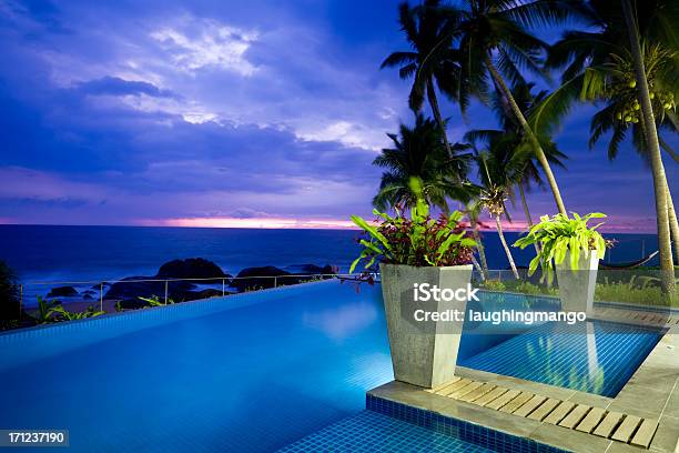 Villa Hotel Swimming Pool Sri Lanka Stock Photo - Download Image Now - Cement, Flower Pot, Luxury