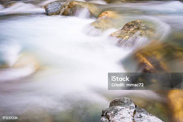 Beautiful Water Stream Stock Photo - Download Image Now - Beauty In Nature, Blurred Motion, Branch - Plant Part