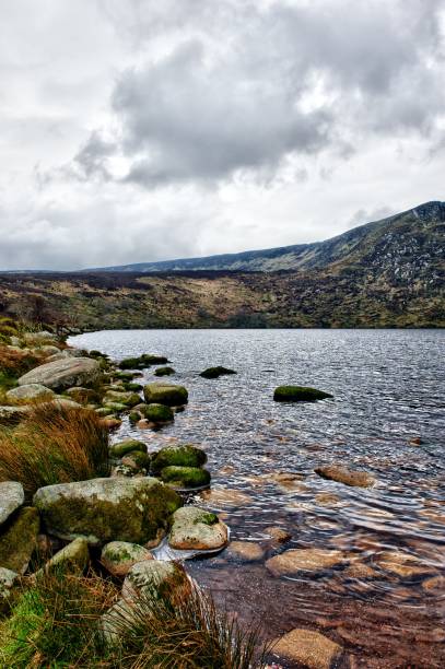 istock Irish Landscape, County Wicklow, Ireland 171237740