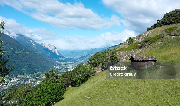 Photo libre de droit de Vallée Du Rhône banque d'images et plus d'images libres de droit de Agriculture - Agriculture, Alpes européennes, Alpes suisses