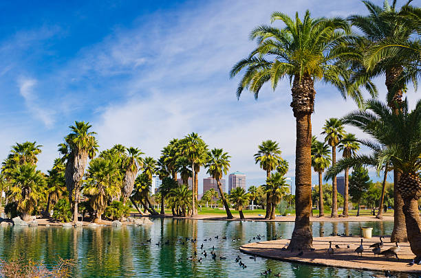 istock Phoenix park, pond, palm trees, and skyline 171237955