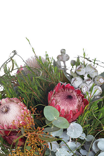 istock Australian flower bouquet 171238287