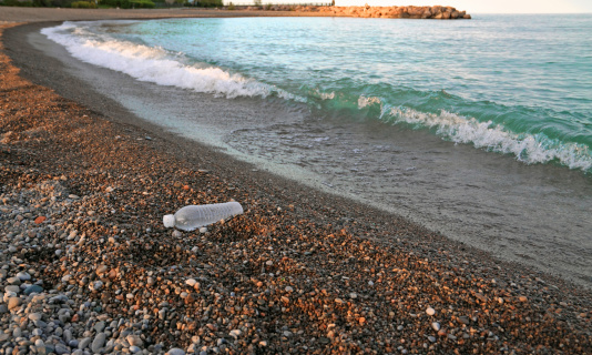 Plastic water bottle discarded by visitor to the beach