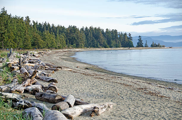 istock Rathtrevor Park and  Beach Scene 171239275