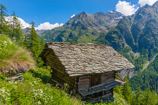 A small cottage is located on a hillside overlooking the mountain and surrounded by diverse vegetation and trees. Love nature.