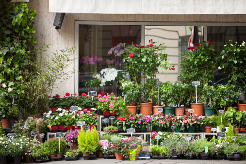 flower shop in Paris, France,