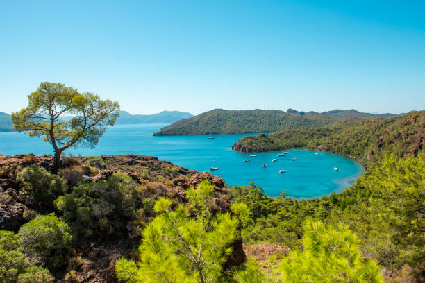 datca. mugla, türkei. schöner blick auf die bucht mit türkisfarbenem wasser und grünem wald. - mugla province stock-fotos und bilder