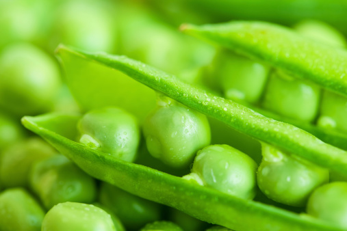 Fresh green pea pods and seeds on white background