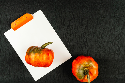 High angle view of pumpkins made of wood over plastic white clipboard over black tablecloth