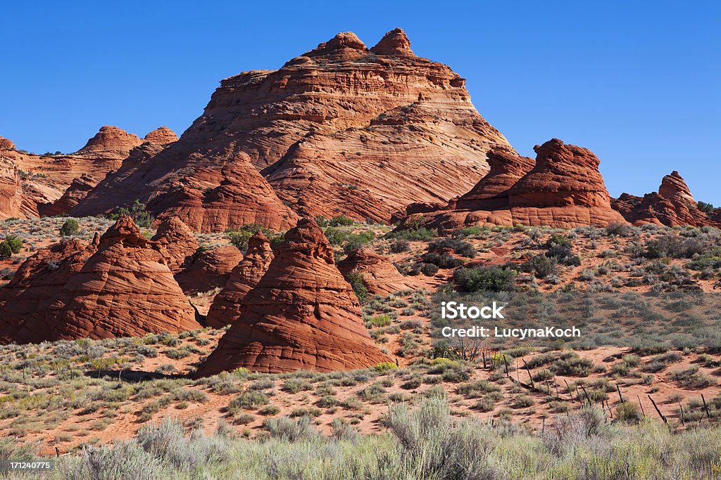 Paysage désertique - Photo de Amérique du Nord libre de droits