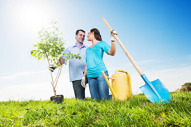 Beautiful couple planting a tree. Cheerful young couple planting a tree in a park. They are preserving their environment. couple hope sky blue stock pictures, royalty-free photos & images