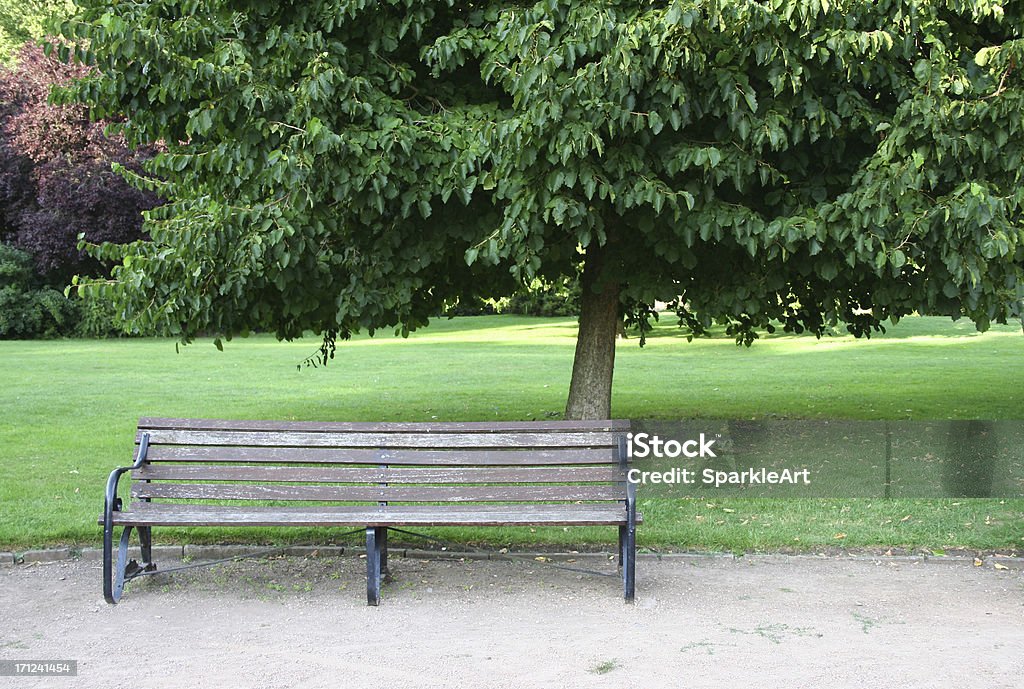 公園のベンチに大きなツリーの下 - コンセプトのロイヤリティフリーストックフォト