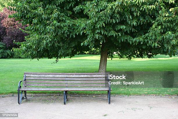 公園のベンチに大きなツリーの下 - コンセプトのストックフォトや画像を多数ご用意 - コンセプト, パークベンチ, ベンチ