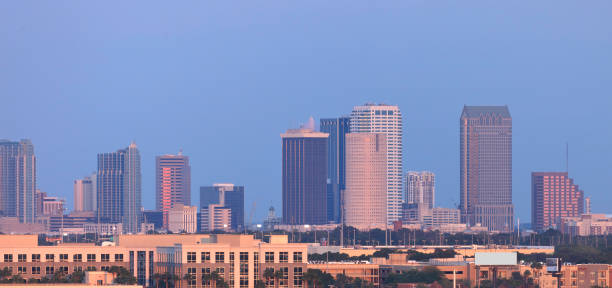 istock Tampa Skyline at Dusk 171241567