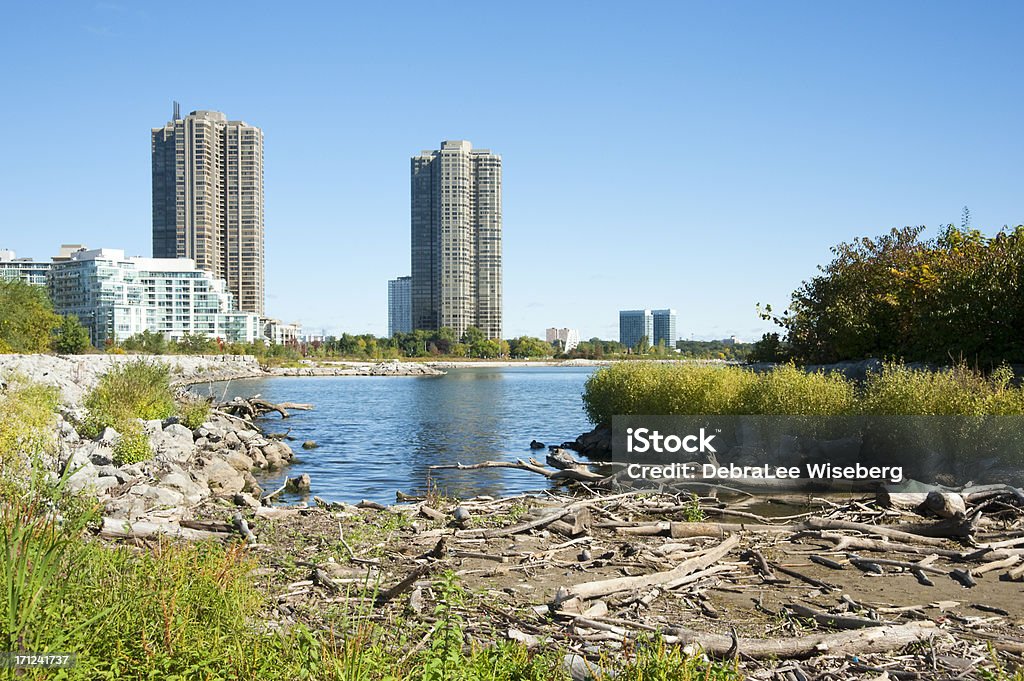 Condo's and Marshlands A view of tall condominium towers across Lake Ontario from the marshlands of an urban park. Apartment Stock Photo