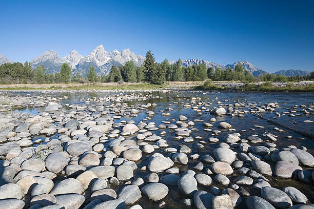 río snake y grand teton - snake river river pebble teton range fotografías e imágenes de stock