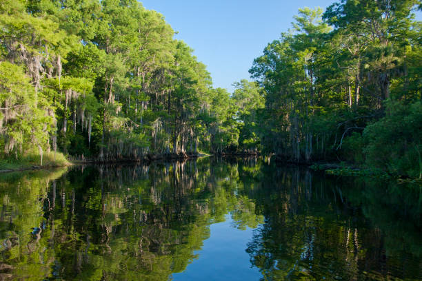 Entrance to the Shingle Creek Environmental Preservation area "Entrance to the Shingle Creek Environmental Preservation area in Kissimmee, Florida where thousands of eco-tourists come to visit and learn each year." kissimmee stock pictures, royalty-free photos & images