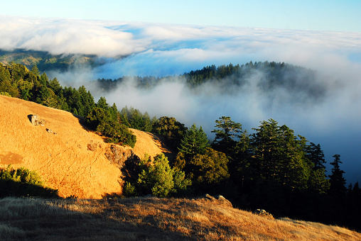 A must settles in between the mountains and the hills in Mount Tamalpais in Marin County near San Francisco