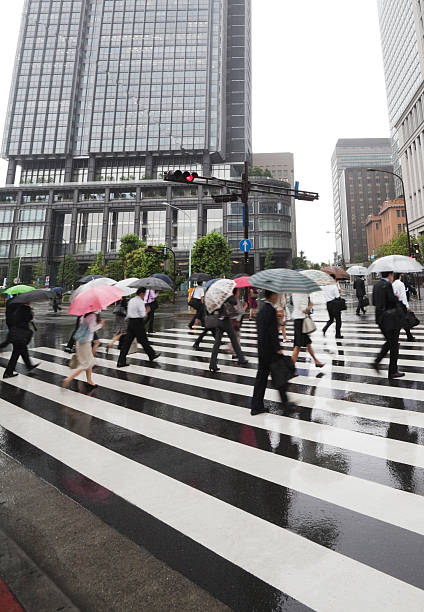 chuvoso usuários - umbrella parasol rain rush hour - fotografias e filmes do acervo