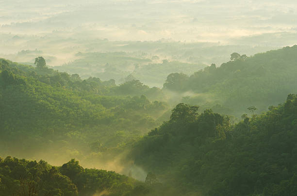 Beautiful sunshine at misty morning mountains .