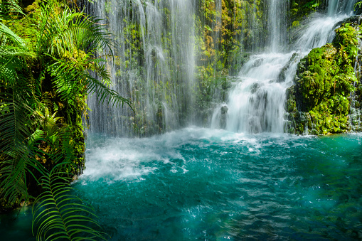 Waterfalls and green water in the pond at Chiang Mai province, Thailand.