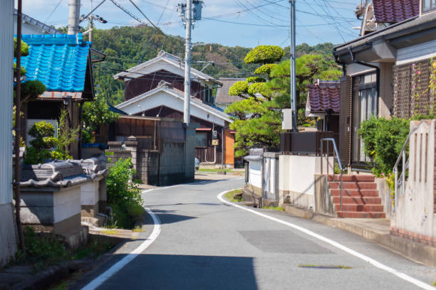 I took this pic in Japan.
