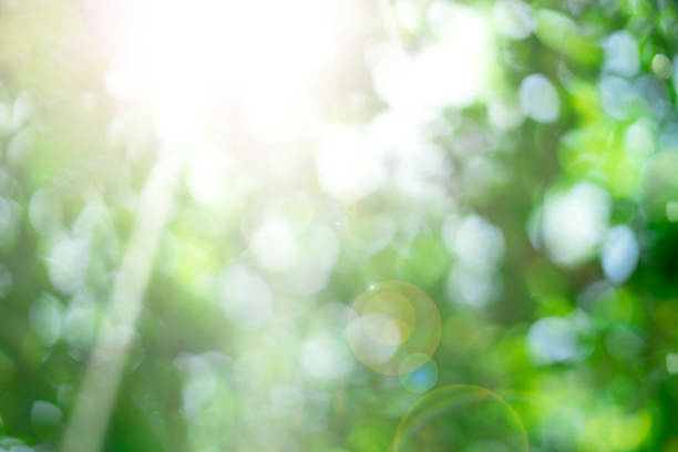 istock natural green bokeh with light background 1712469220