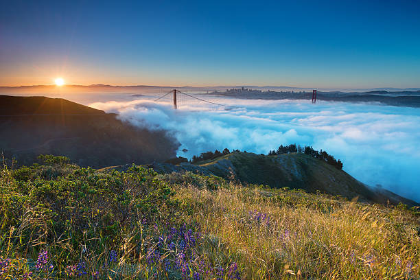 Golden Gate Fog Fog streams through the Golden Gate at dawn. west marin stock pictures, royalty-free photos & images