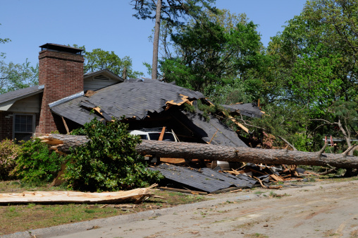Home and automobile damaged by tree blown over by a tornado.