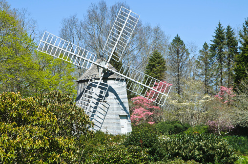 Bright spring colors  of pink dogwood surround  the Old East Mill (1800)  on Cape Cod on a late April afternoon.