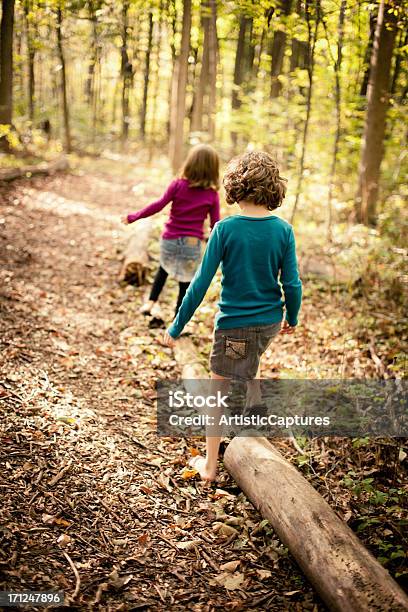 Duas Irmãs Caminhada Através Da Floresta No Outono Em Dia - Fotografias de stock e mais imagens de Caminhada