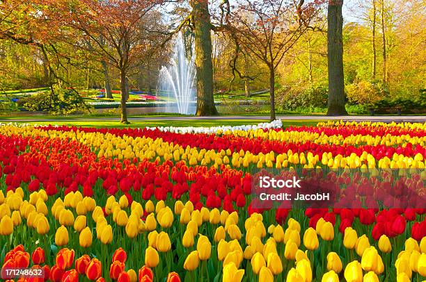 Foto de Primavera Flores No Parque e mais fotos de stock de Jardins de Keukenhof - Jardins de Keukenhof, Ajardinado, Amarelo