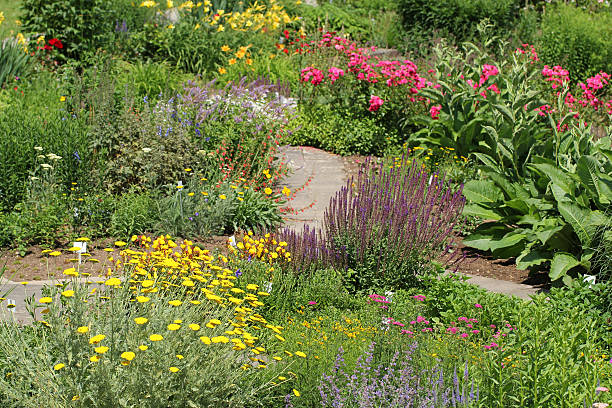 istock Garden with flowers and herbs 171248658