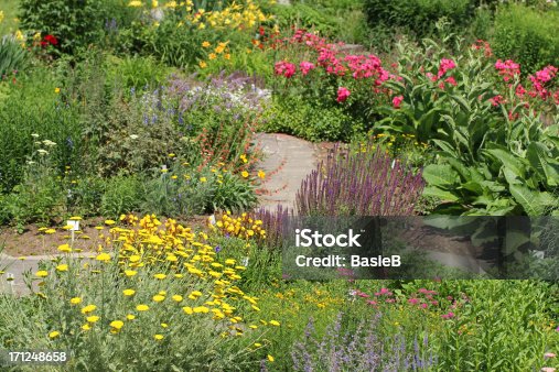 istock Garden with flowers and herbs 171248658