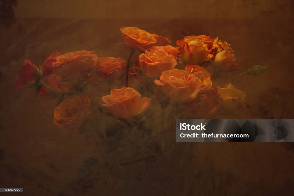 букет роз - Стоковые фото Абстрактный роялти-фри