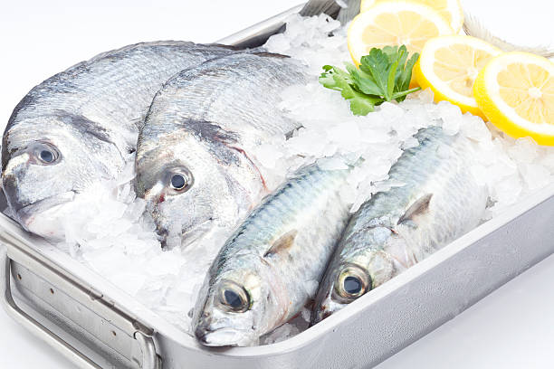 istock Fishes on steel tray with ice 171249478