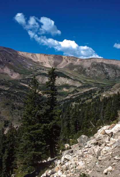istock Rocky Mountain NP - Fall River Road - Near Fall River Pass - 1977 1712495900