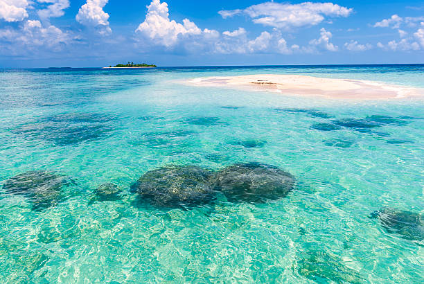istock Paradisaical tropical white sand cay beach with turquoise water 171249649