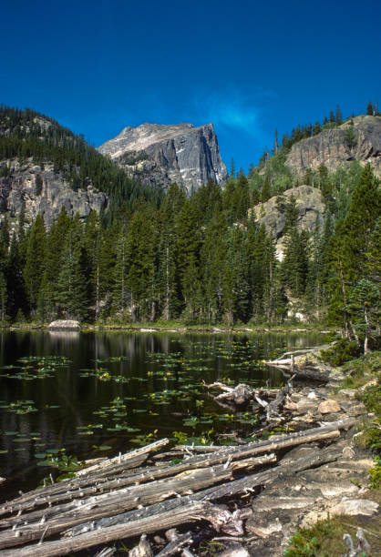 istock Rocky Mountain NP - Nymph Lake & Logs - 1977. 1712497555