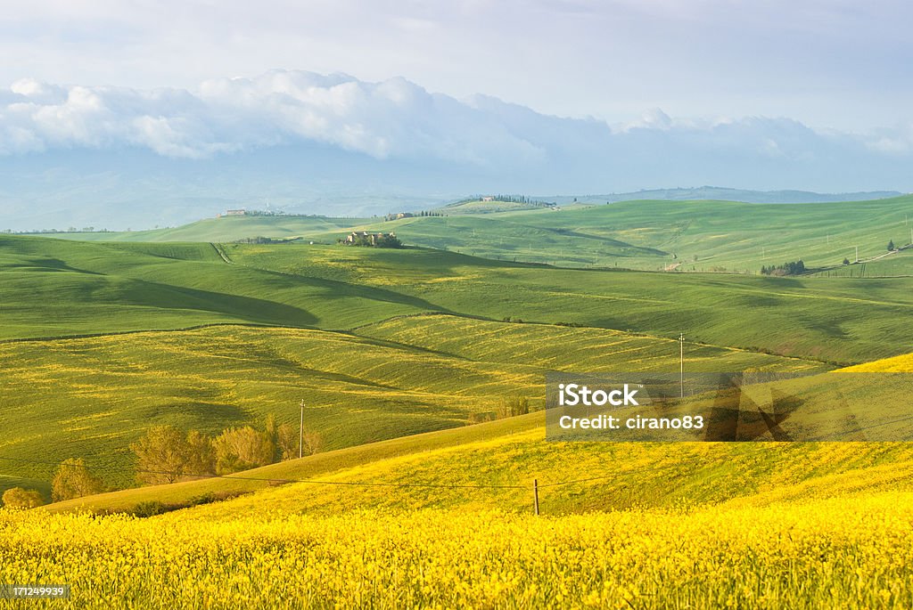 Val d'Orcia paesaggio - Foto stock royalty-free di Agricoltura